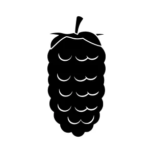 Hop Cone Silhouette Icon