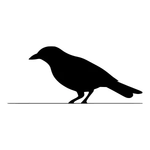 Silhouette Bird Graphic - Black Feather Illustration