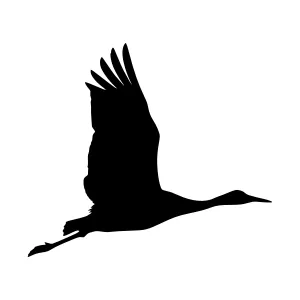 Black Crane Silhouette Flying