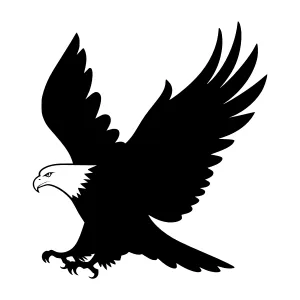 Silhouette Eagle in Flight - Vector Graphic