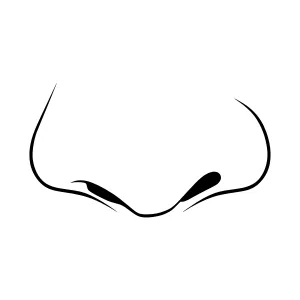Minimalist Silhouette Glasses Icon