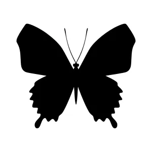 Black Butterfly Silhouette Vector Icon