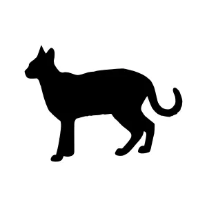 Silhouette Cat Vector Graphic