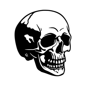 Black & White Skull Illustration - Vintage Style