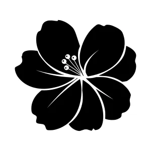 Black Flower Silhouette Vector Illustration