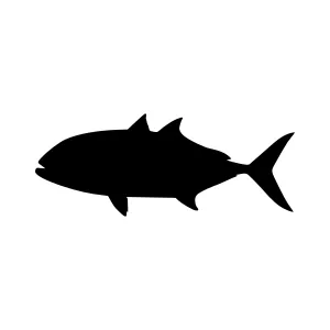 Black Fish Silhouette Vector Icon