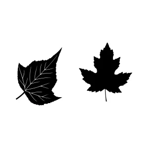 Silhouette Leaves - Black & White Leaf Pair
