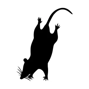 Black Rat Silhouette Vector Illustration