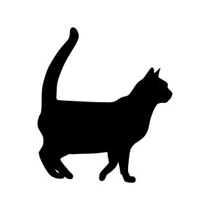 Black Cat Silhouette Vector Illustration