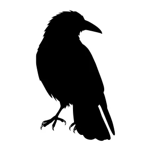 Black Crow Silhouette Vector Illustration