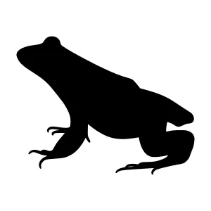 Frog Silhouette Vector Illustration