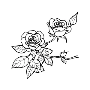 Black Rose Branch Illustration
