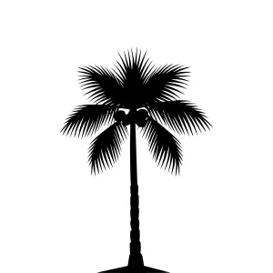 Silhouette Palm Tree - Tropical Design Element