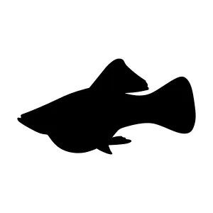 Elegant Silhouette Fish Graphic