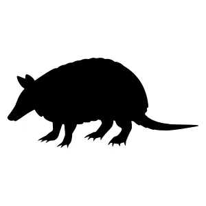 Armadillo Silhouette Vector Illustration