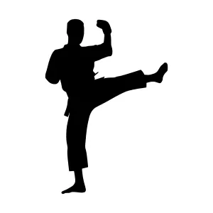 Silhouette Martial Arts Kick