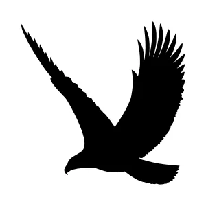 Black Eagle Silhouette Vector Graphic