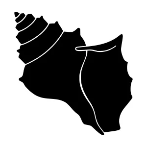 Black Shell Silhouette Icon