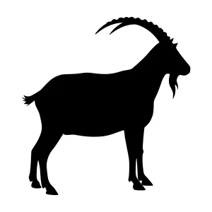 Silhouette Goat Head Profile - Black Vector