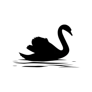 Black Swan Silhouette Vector Illustration