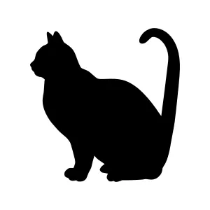 Black Cat Silhouette Vector Illustration