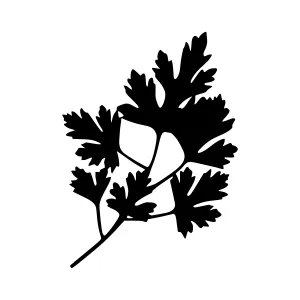 Parsley Leaf Silhouette - Black on White