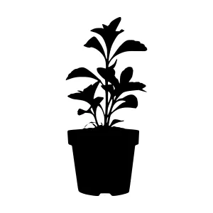 Silhouette Plant in Pot - Minimalist Design