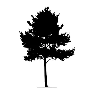 Black Tree Silhouette Vector Illustration