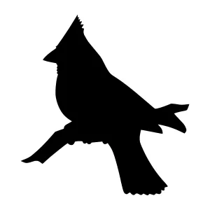 Cardinal Silhouette - Black Bird Outline