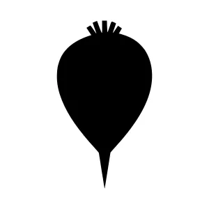 Black Carrot Silhouette Icon