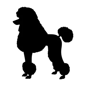 Poodle Silhouette Vector Graphic