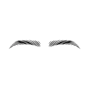 Eyebrows - Minimalist Vector Illustration