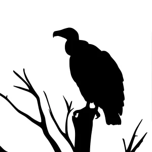 Silhouette Eagle on Branch - Black Outline