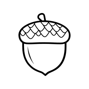 Black & White Line Art Acorn