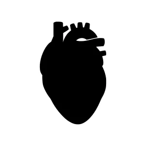 Heart Silhouette Icon - Black on White