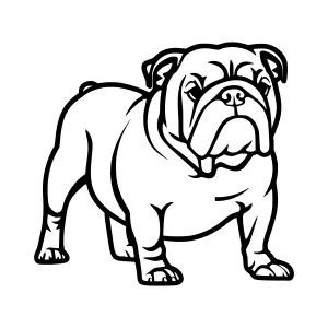 Black & White Bulldog Illustration