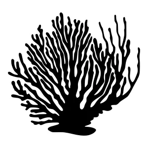 Black Coral Illustration - Minimalist Vector Graphic