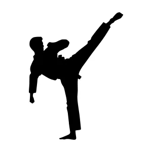Black Karate Silhouette - Dynamic Action Pose