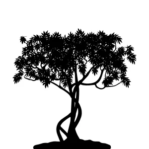 Silhouette Tree Vector Illustration