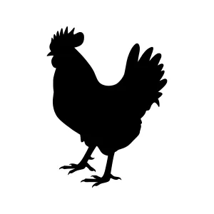 Black Rooster Silhouette Vector Illustration