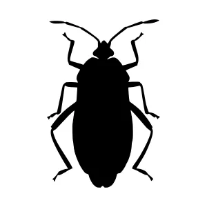 Black Silhouette Bug Vector Illustration