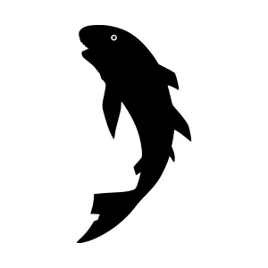 Shark Silhouette Vector Graphic