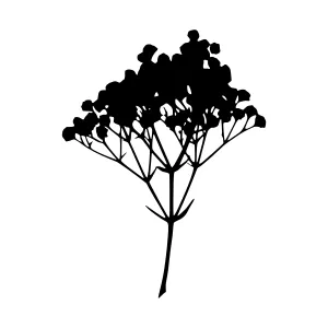 Black Floral Silhouette Vector Illustration