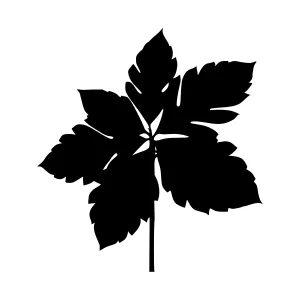 Black Leaf Silhouette Vector Illustration