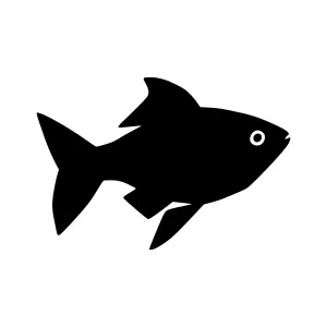 Simple Black Fish Silhouette Icon
