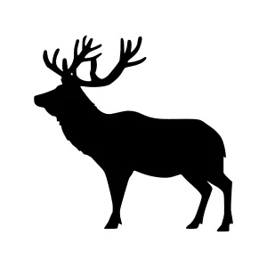 Black Elk Silhouette - Deer Graphic