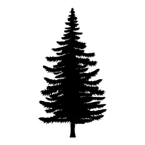 Black Pine Tree Silhouette Vector Illustration