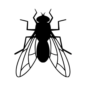 Fly Silhouette Vector Icon