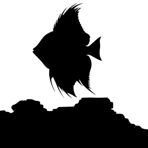 Angelfish Silhouette on Rock - Minimalist Vector