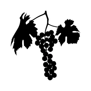 Black Grape Vine Silhouette